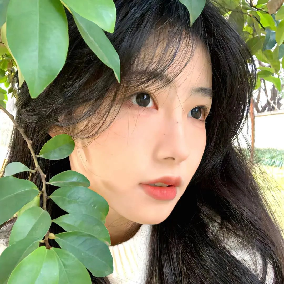 恶之华